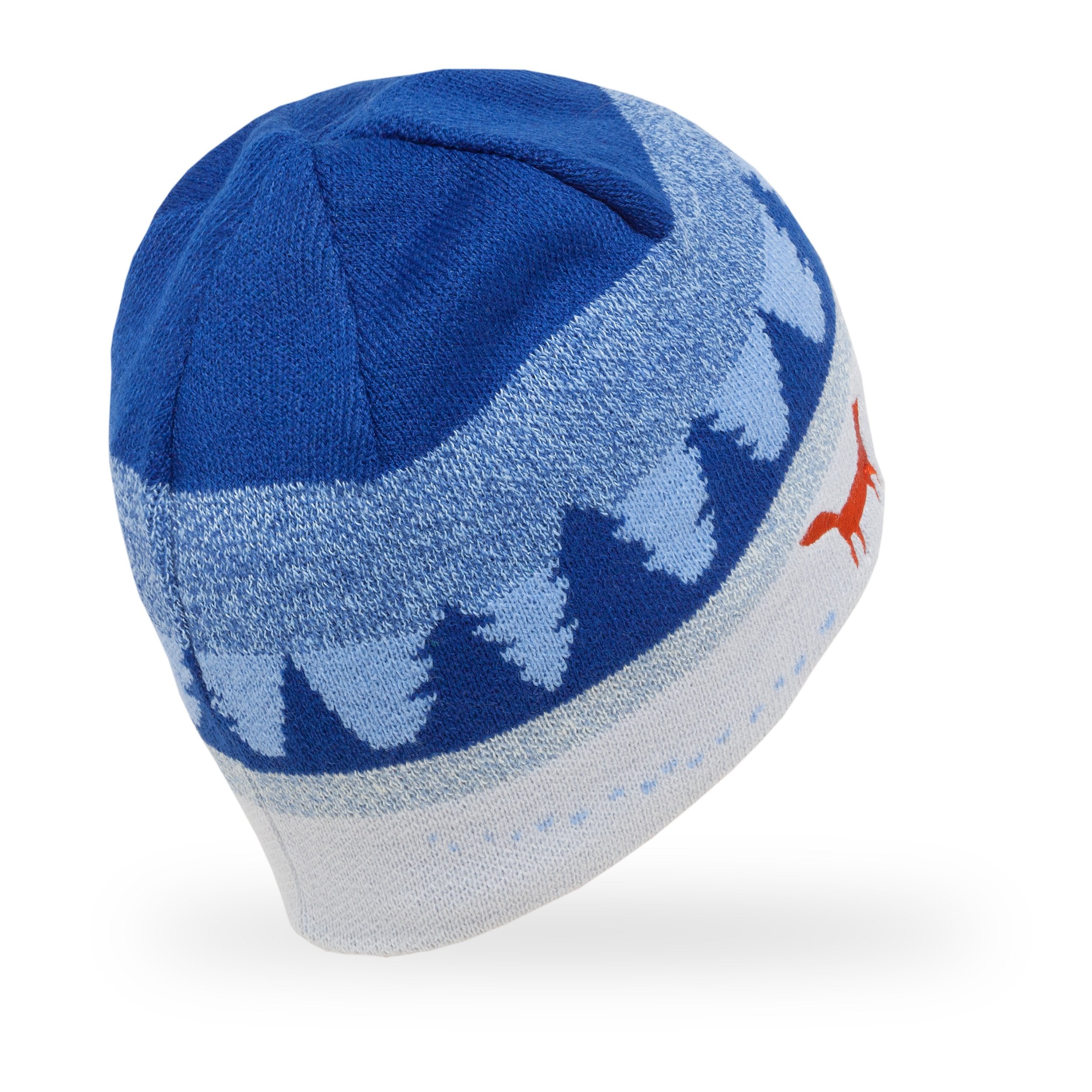 Kids' Winterland Fox Beanie