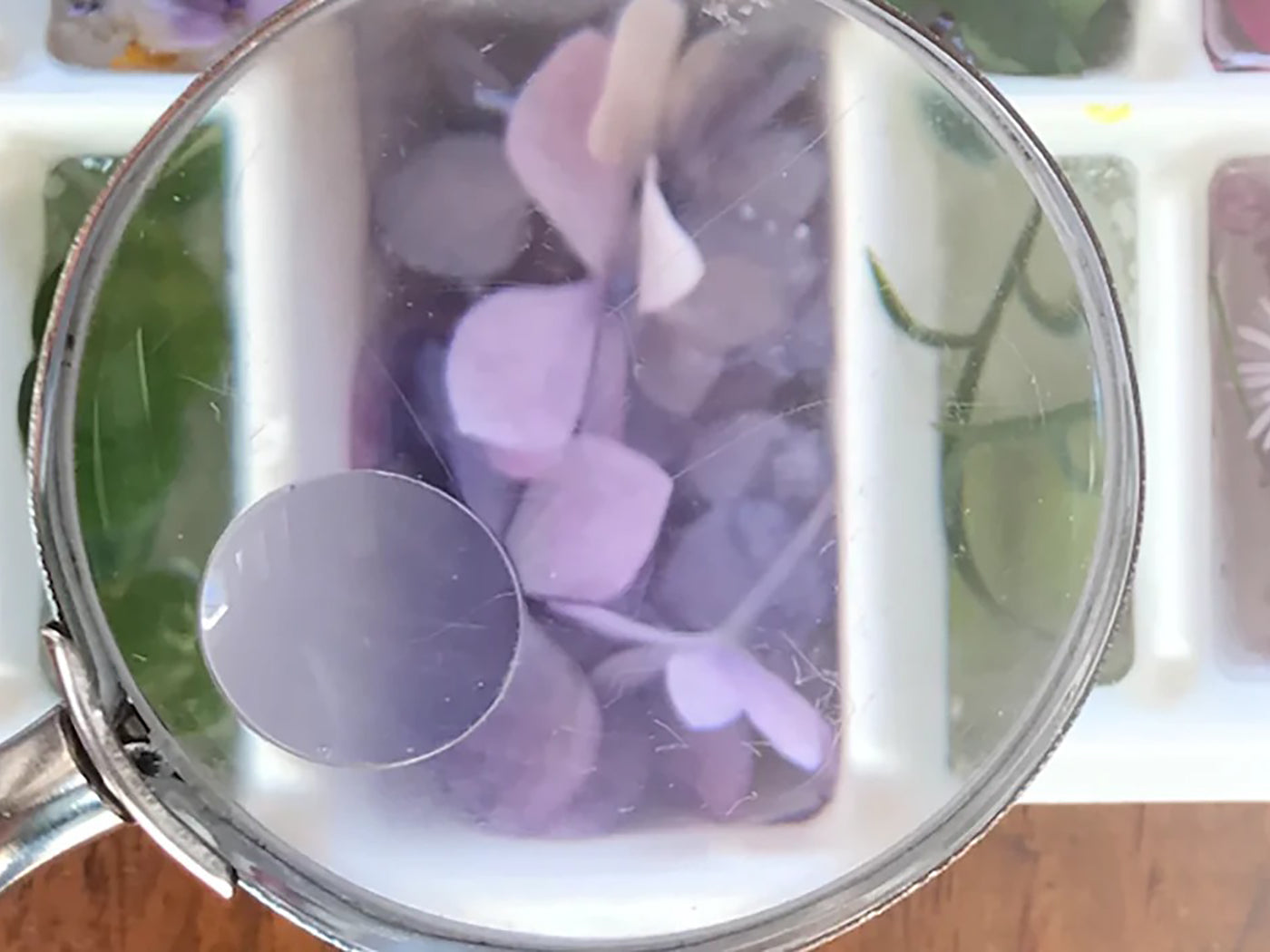 Magnifying glass looking at frozen lavendar flowers