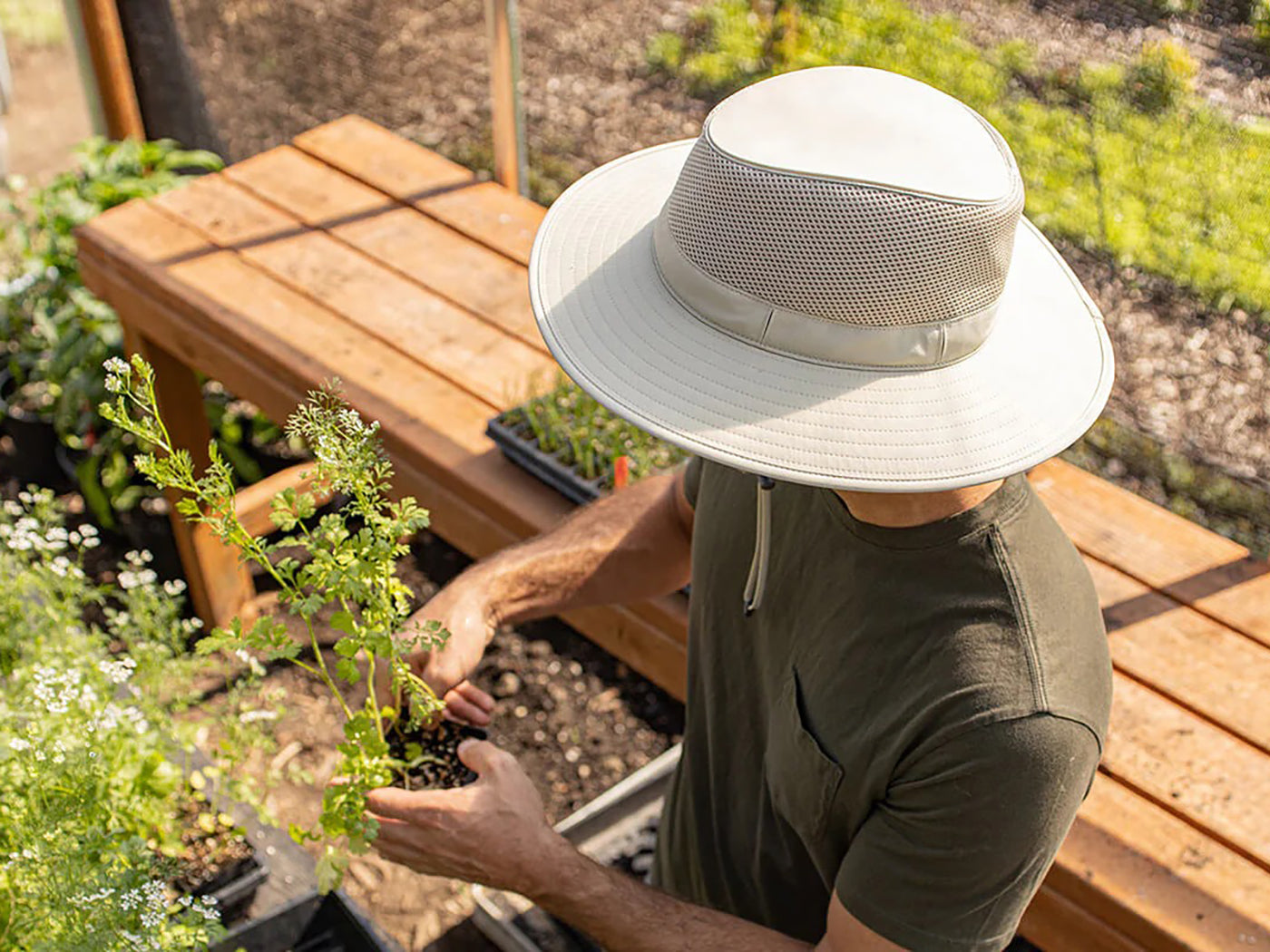 Man wearing a Charter Sunday Afternoons hat, holding a plant