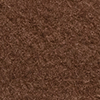 Cocoa Bean